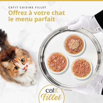 Catit Cuisine Filet Tonno - Set % 12 x 75 g Filetto di tonno con gamberetti