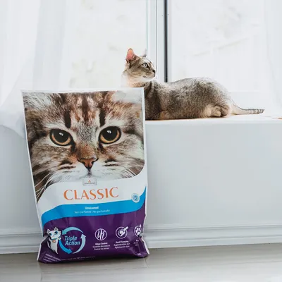 Litière pour chat Classic, non parfumée, Triple Action : contrôle des odeurs, agglomération, douce pour les pattes. Emballage avec motif de chat.