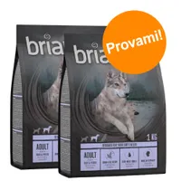Set prova misto! 2 x 1 kg Briantos Crocchette senza cereali per cani - 1 kg Adult Mini Agnello & Riso + 1 kg Adult Mini Salmone & Patate