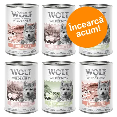 Wolf of Wilderness conserve 400g: Stony Creek, Muddy Routes, Steep Journey. Text portocaliu: Încearcă acum!