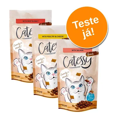 Três embalagens de snacks Catessy para gatos: with beef & malt, with poultry & cheese, with salmon. Texto visível: 'Crunchy'n smooth!', 'Teste já!'. Cada embalagem contém 65 g. Três embalagens de snacks Catessy para gatos: with beef & malt, with poultry & cheese, with salmon. Texto visível: 'Crunchy'n smooth!', 'Teste já!'. Cada embalagem contém 65 g.