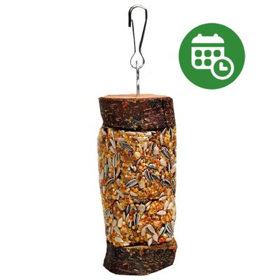 25% reducere! 2 x JR Birds Pick ‘n‘ Fun Peruși mari și papagali