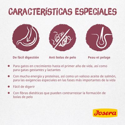 Características especiales: de fácil digestión, anti bolas de pelo, peau et pelage. Para gatos en crecimiento, gestantes y lactantes. Josera. Con energía, proteínas y aceite de salmón.
