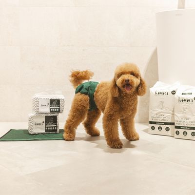 Hond met groene luier naast kooa Puppy Training Pads with Bamboo, verpakkingen en pads zichtbaar.