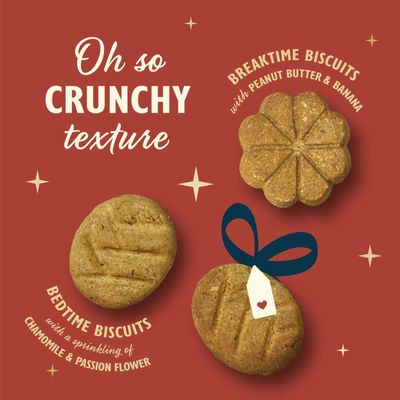 Lily's Kitchen Advent Calendar for Dogs