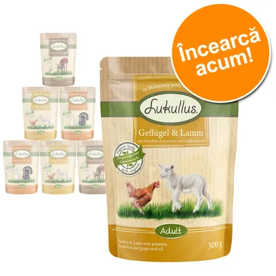 Pachet hrană Lukullus Geflügel & Lamm 300 g pentru câini adulți, cu textul „Încearcă acum!” pe fundal portocaliu. Alte variante de plicuri Lukullus vizibile în fundal.