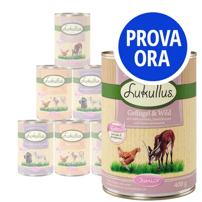 Scatole di cibo umido per cani Lukullus Junior, vari gusti visibili: Geflügel & Wild, Huhn & Kalb, Putenherzen & Lamm. Etichetta grande con testo tedesco e bollino blu 'PROVA ORA'.