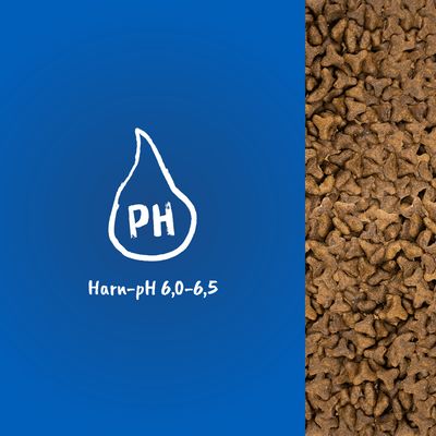 Harn-pH 6,0-6,5. Trockenfutter mit braunen Kroketten.