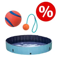 Piscine pliante bleue remplie d’eau, balle orange avec bandes bleues, balle orange à corde et symbole de réduction en pourcentage sur fond rouge.