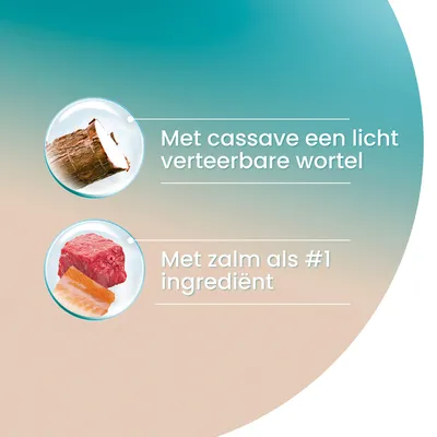 Met cassave een licht verteerbare wortel. Met zalm als #1 ingrediënt.
