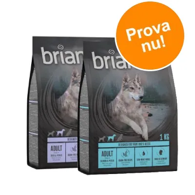 Två påsar briantos Adult torrfoder, 1 kg, med bild av en varg och texten 'Prova nu!' i orange cirkel. Synlig information om smak: Salmon & Potato, grain-free recipe.