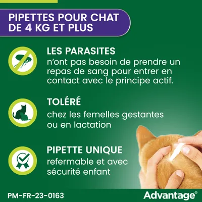 Advantage® 80 pour chat > 4 kg - 6 mois de protection (6 pipettes)