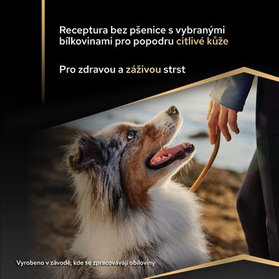 Animonda Carny Adult, 6 x 400 g – hovězí, kuřecí a kachní srdce