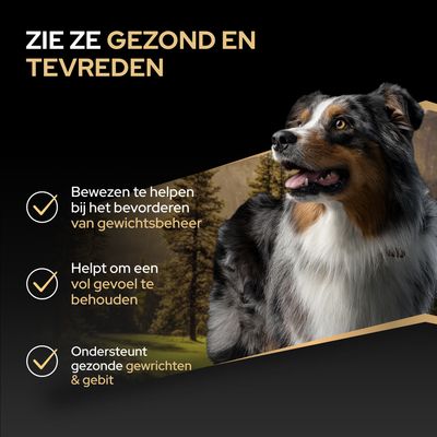 Productvoordelen: Ondersteuning van gewichtsbeheer, behoud van het verzadigingsgevoel, bevordering van gezonde gewrichten en gebit. Afgebeelde hond.