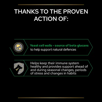 Angol szöveg: Yeast cell walls – source of beta glucans to help support natural defences. Helps keep their immune system healthy and provides support ahead of and during seasonal changes, periods of stress and changes in habits.