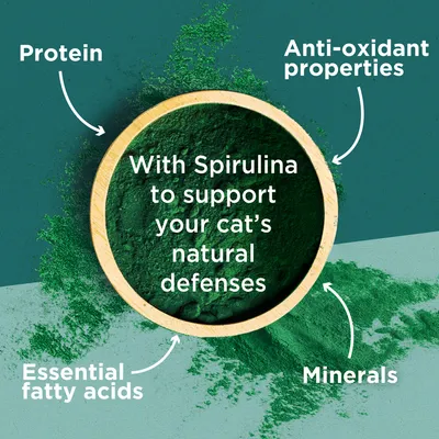 Text: With Spirulina to support your cat’s natural defenses. Protein, Anti-oxidant properties, Essential fatty acids, Minerals. Texten är på engelska.
