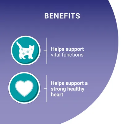 Benefits: helps support vital functions and helps support a strong healthy heart.