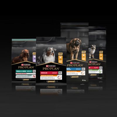 PURINA PRO PLAN hundfoder, olika varianter: Small & Mini Adult, Medium Adult, Large Robust Adult, Medium Puppy. Information om storlek, ålder och näring syns på förpackningarna.
