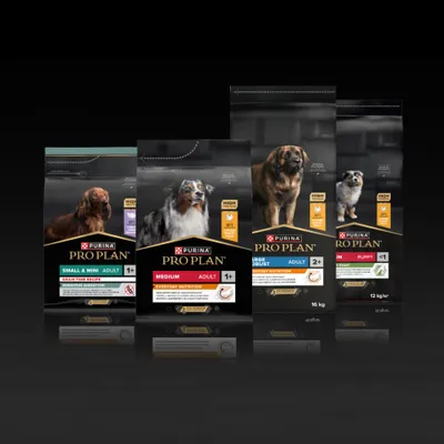 PURINA PRO PLAN ração para cães, várias variedades: Small & Mini Adult, Medium Adult, Large Robust Adult, Medium Puppy. Informações sobre tamanho, idade e nutrição visíveis nas embalagens. PURINA PRO PLAN ração para cães, várias variedades: Small & Mini Adult, Medium Adult, Large Robust Adult, Medium Puppy. Informações sobre tamanho, idade e nutrição visíveis nas embalagens.