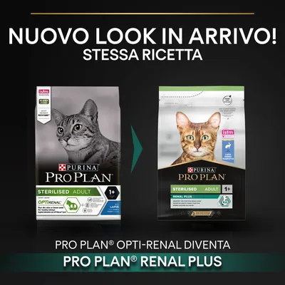 Nuovo look in arrivo! Stessa ricetta. Pro Plan Opti-Renal diventa Pro Plan Renal Plus. Immagine di due confezioni Purina Pro Plan Sterilised Adult 1+ per gatti.