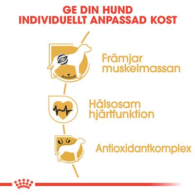 Ge din hund individuellt anpassad kost. Främjar muskelmassan. Hälsosam hjärtfunktion. Antioxidantkomplex.