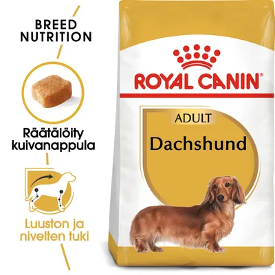 Royal Canin ADULT Dachshund -kuivaruokapakkaus, tekstit: BREED NUTRITION, Räätälöity kuivanappula, Luuston ja nivelten tuki, kuva mäyräkoirasta ja nappulasta.