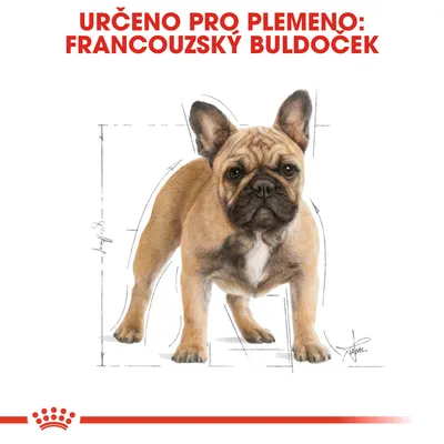 Určeno pro plemeno: francouzský buldoček – ilustrace psa s technickými nákresy v pozadí, červený nápis nahoře