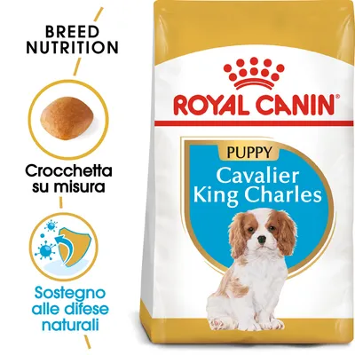 ROYAL CANIN Puppy Cavalier King Charles, crocchetta su misura, sostegno alle difese naturali. Immagine di un cucciolo sulla confezione. ROYAL CANIN Puppy Cavalier King Charles, crocchetta su misura, sostegno alle difese naturali. Immagine di un cucciolo sulla confezione.