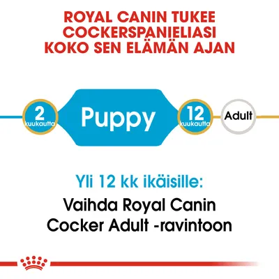 ROYAL CANIN tukee cockerspanieliasi koko sen elämän ajan. 2 kuukautta Puppy, 12 kuukautta Adult. Yli 12 kk ikäisille: Vaihda Royal Canin Cocker Adult -ravintoon.