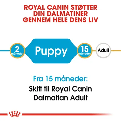 Royal Canin støtter din dalmatiner gennem hele dens liv. Puppy fra 2–15 måneder. Fra 15 måneder: Skift til Royal Canin Dalmatian Adult.