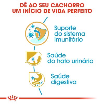 Dê ao seu cachorro um início de vida perfeito. Suporte do sistema imunitário, saúde do trato urinário, saúde digestiva.