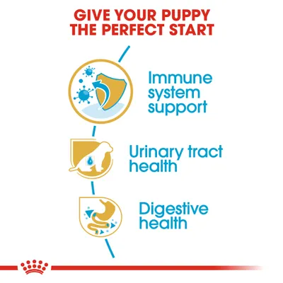 Image highlights immune system support, urinary tract health, and digestive health as key benefits for puppies. Text: 'Give your puppy the perfect start.'