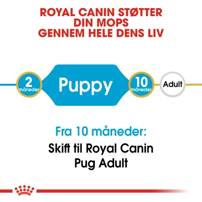 ROYAL CANIN STØTTER DIN MOPS GENNEM HELE DENS LIV. Puppy fra 2–10 måneder, Adult fra 10 måneder. Fra 10 måneder: Skift til Royal Canin Pug Adult.