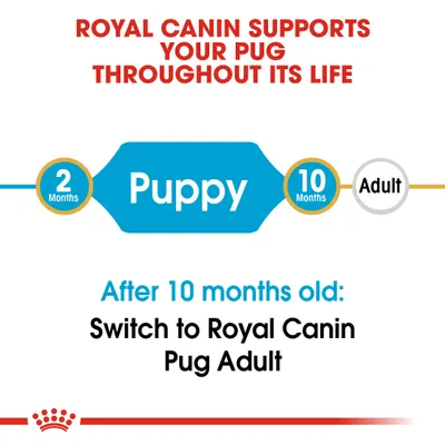 ROYL CANIN SUPPORTS YOUR PUG THROUGHOUT ITS LIFE. Puppy 2 Months–10 Months. After 10 months old: Switch to Royal Canin Pug Adult. (Κείμενο στα αγγλικά)