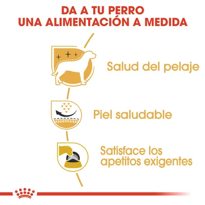 Da a tu perro una alimentación a medida. Salud del pelaje, piel saludable, satisface los apetitos exigentes.