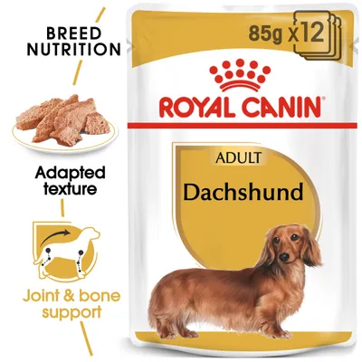 Royal Canin Adult Dachshund wet food, 85g x12 pack. Features adapted texture and joint and bone support. Breed nutrition highlighted.