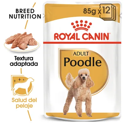 Royal Canin Adult Poodle, pack de 12 sobres de 85 g. Texto visible: textura adaptada, salud del pelaje, Breed Nutrition.