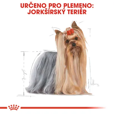 Určeno pro plemeno: Jorkšírský teriér. Ilustrace psa s dlouhou srstí a červenou mašlí, dole červený pruh s korunkou.