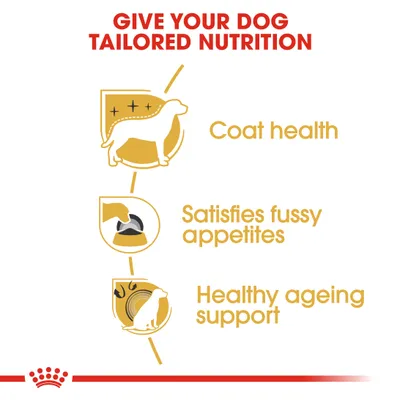 GIVE YOUR DOG TAILORED NUTRITION. Coat health. Satisfies fussy appetites. Healthy ageing support.