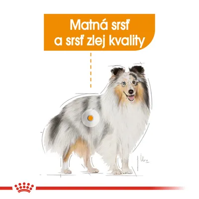 Ilustrácia psa s textom: Matná srsť a srsť zlej kvality. Zvýraznená oblasť srsti na tele psa.