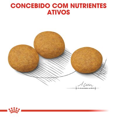 Três croquetes redondos de ração com texto visível: 'Concebido com nutrientes ativos' e escala desenhada indicando 1 cm.