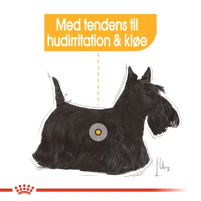 Illustration af sort hund med teksten: Med tendens til hudirritation & kløe. Gul markering på hundens side.