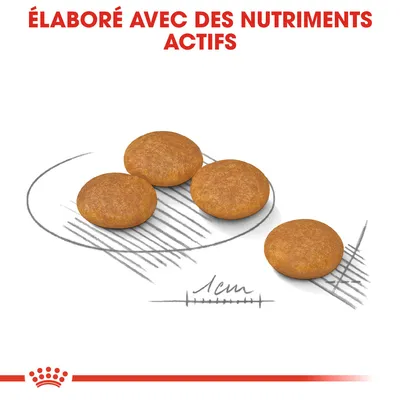 ÉLABORÉ AVEC DES NUTRIMENTS ACTIFS, croquettes rondes d’environ 1 cm de diamètre illustrées sur fond blanc avec repère de taille dessiné.