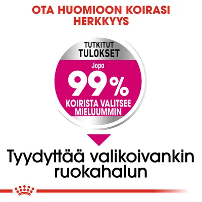 Ota huomioon koirasi herkkyys. Tutkitut tulokset: jopa 99 % koirista valitsee mieluummin. Tyydyttää valikoivankin ruokahalun.