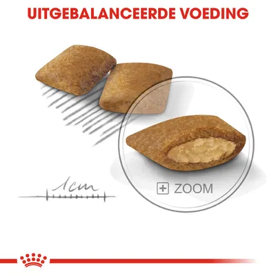 Droogvoedingsbrok met zichtbare vulling, tekst 'UITGEBALANCEERDE VOEDING', schaalverdeling tot 1 cm en vergrootglas met '+ ZOOM'.