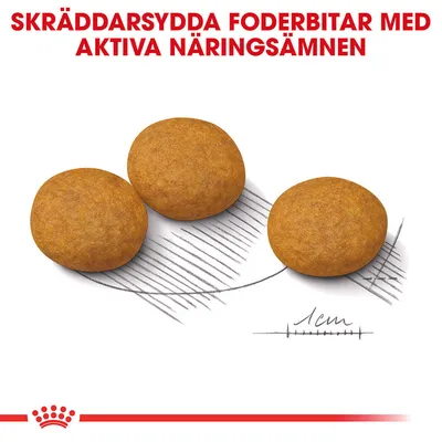 Royal Canin Medium Dermacomfort - 12 kg