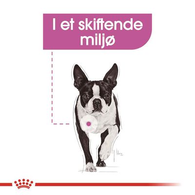 I et skiftende miljø