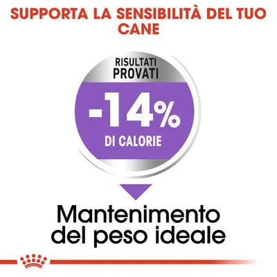 Supporta la sensibilità del tuo cane. Risultati provati: -14% di calorie. Mantenimento del peso ideale.