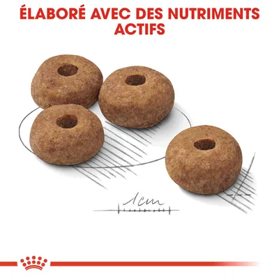 Croquettes en forme d’anneau, diamètre indiqué 1 cm, texte visible : « Élaboré avec des nutriments actifs » en haut de l’image.