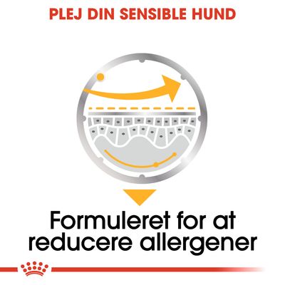 PLEJ DIN SENSIBLE HUND. Formuleret for at reducere allergener